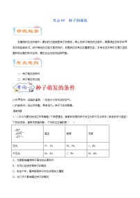 初中生物中考复习 考点05  种子的萌发（考点详解）-备战2021年中考生物考点微专题