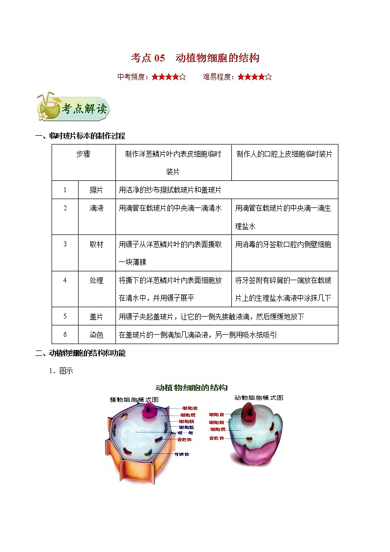 初中生物中考复习 考点05 动植物细胞的结构-备战2020年中考生物考点一遍过第1页