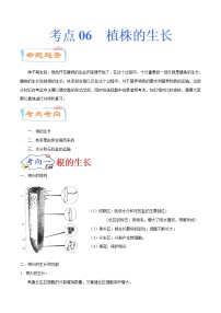 初中生物中考复习 考点06  植株的生长（考点详解）-备战2021年中考生物考点微专题