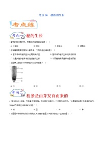 初中生物中考复习 考点06  植株的生长（考点专练）-备战2021年中考生物考点微专题