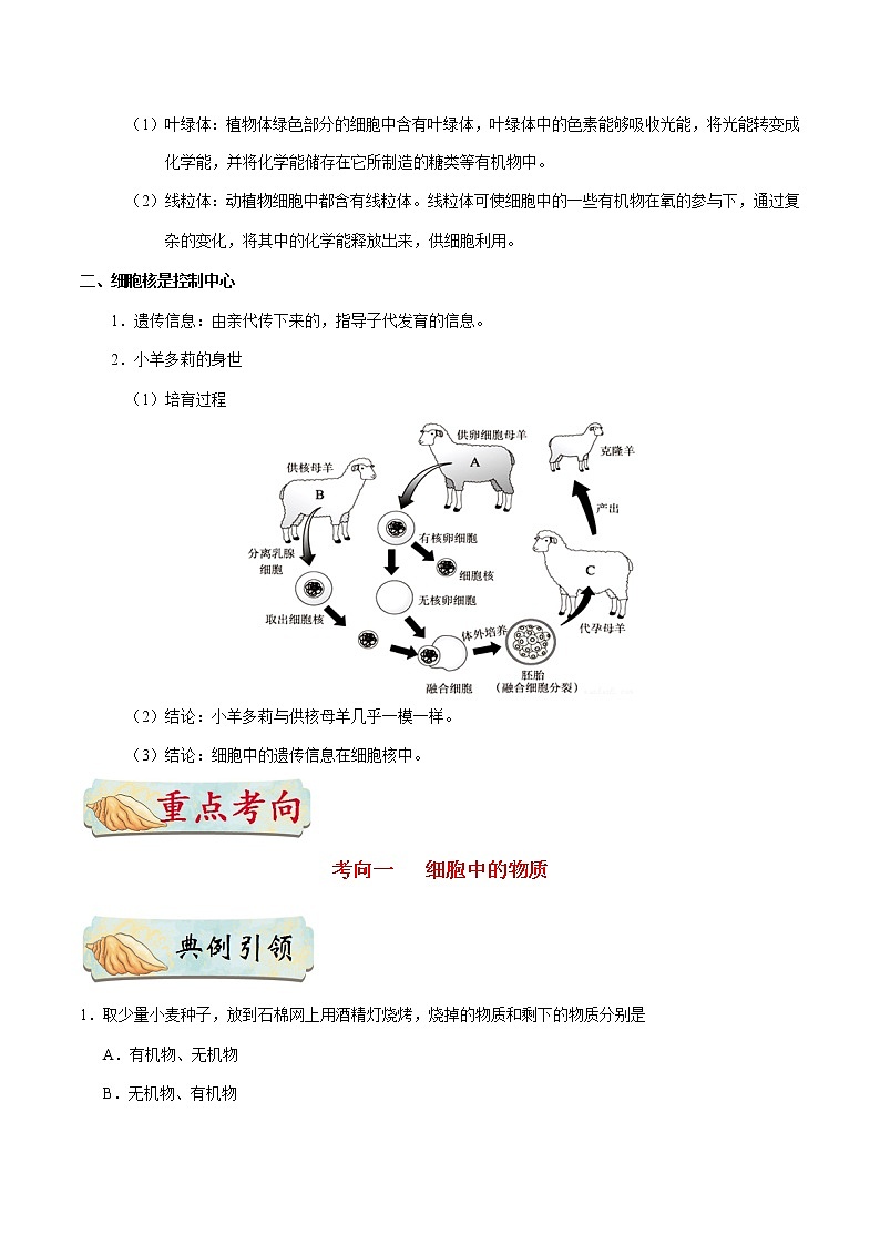 初中生物中考复习 考点06 细胞的生活-备战2019年中考生物考点一遍过 试卷02