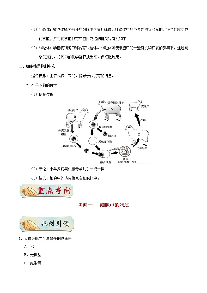 初中生物中考复习 考点06 细胞的生活-备战2020年中考生物考点一遍过第2页