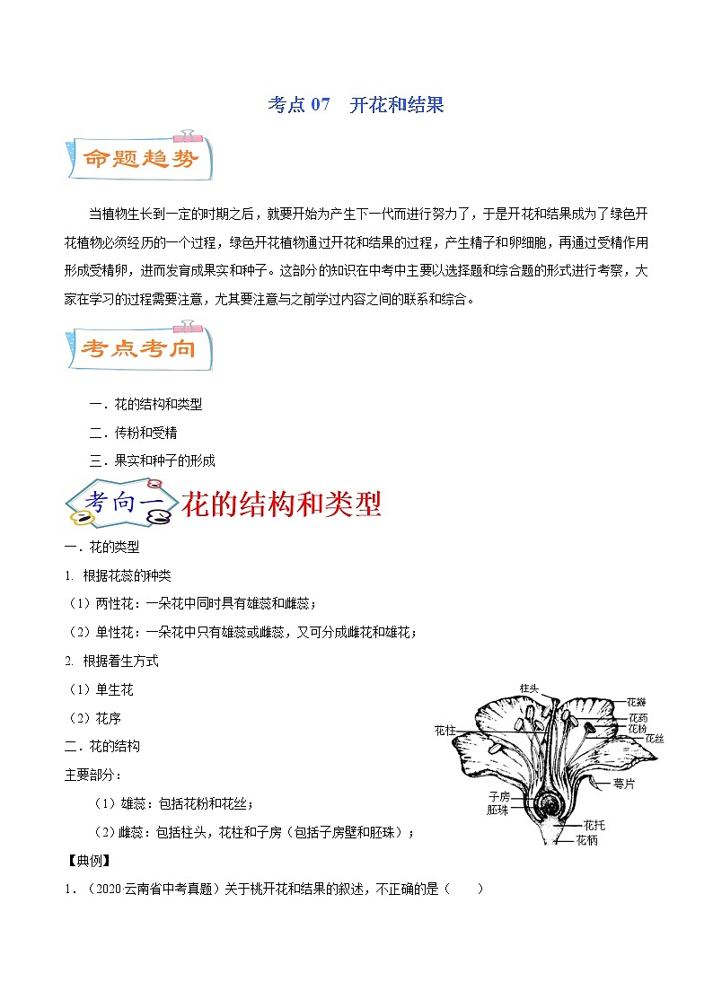 初中生物中考复习 考点07  开花和结果（考点详解）-备战2021年中考生物考点微专题01