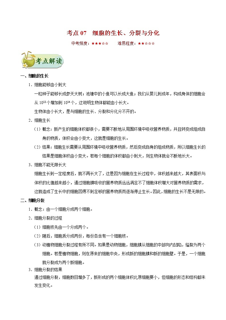 初中生物中考复习 考点07 细胞的生长、分裂与分化-备战2020年中考生物考点一遍过第1页