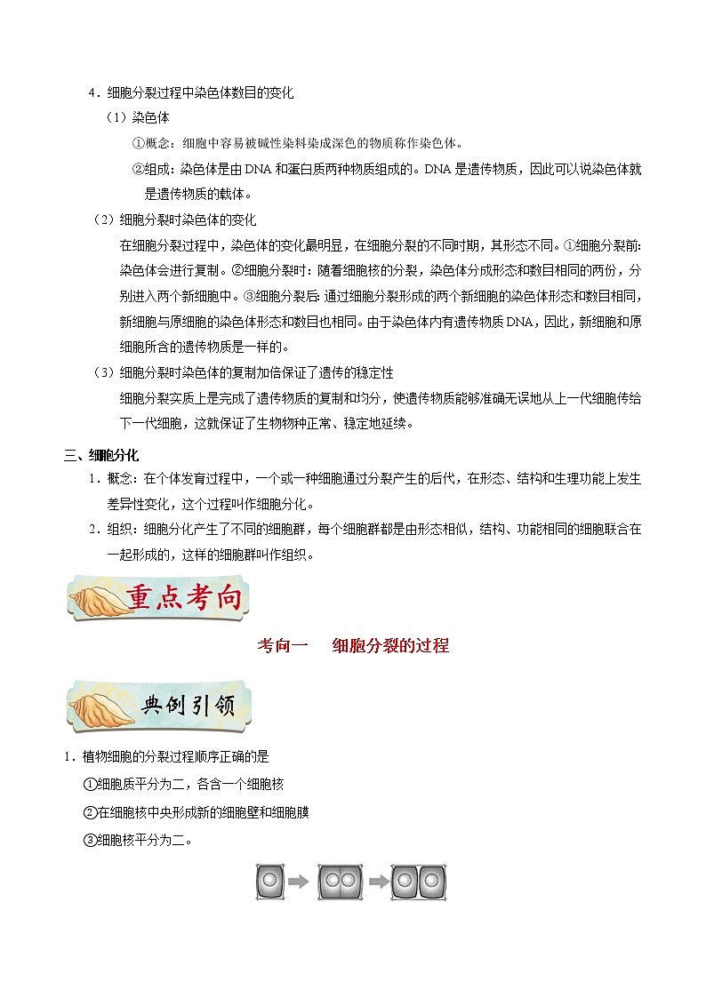 初中生物中考复习 考点07 细胞的生长、分裂与分化-备战2020年中考生物考点一遍过第2页