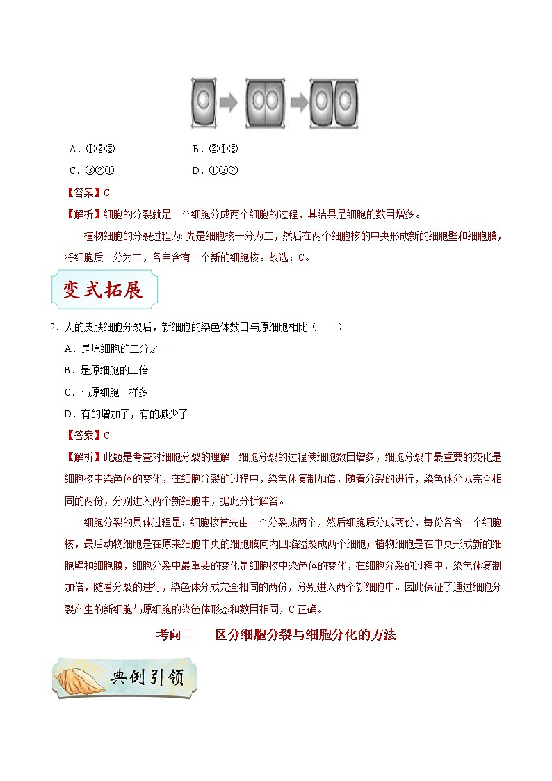 初中生物中考复习 考点07 细胞的生长、分裂与分化-备战2021年中考生物考点一遍过 试卷03