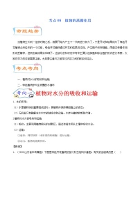 初中生物中考复习 考点08  植物的蒸腾作用（考点详解）-备战2021年中考生物考点微专题