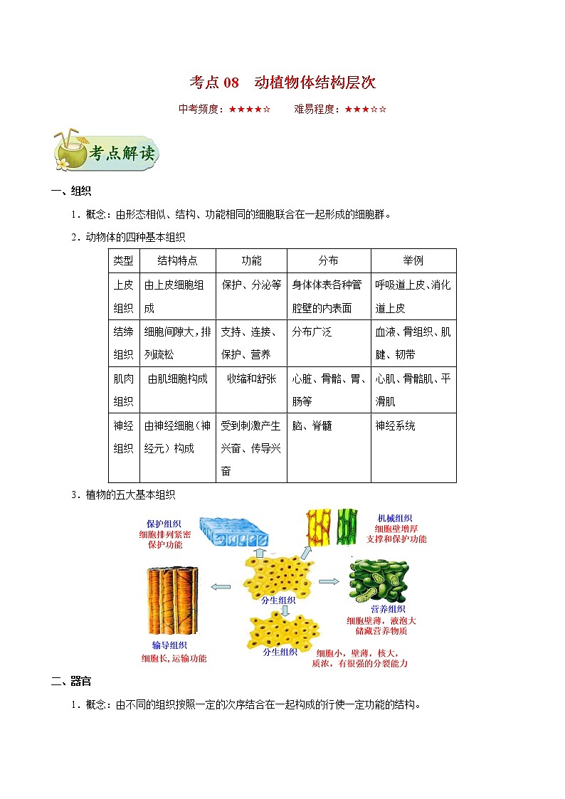 初中生物中考复习 考点08 动植物体的结构层次-备战2019年中考生物考点一遍过第1页