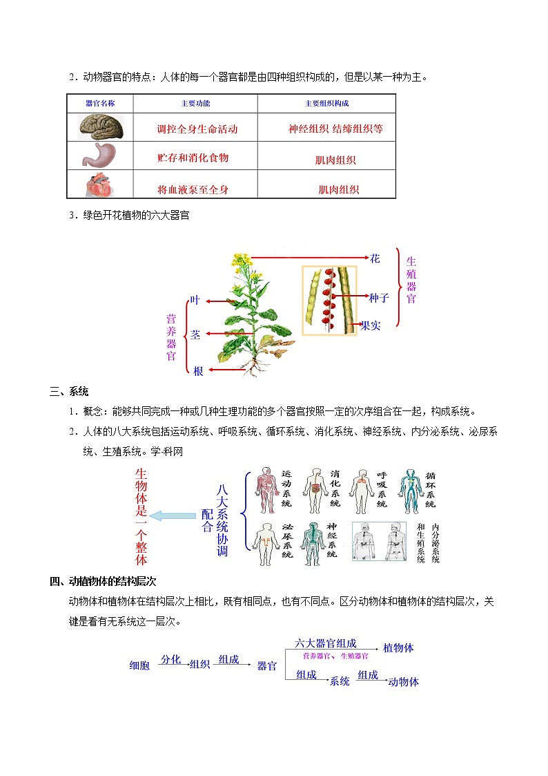 初中生物中考复习 考点08 动植物体的结构层次-备战2019年中考生物考点一遍过第2页