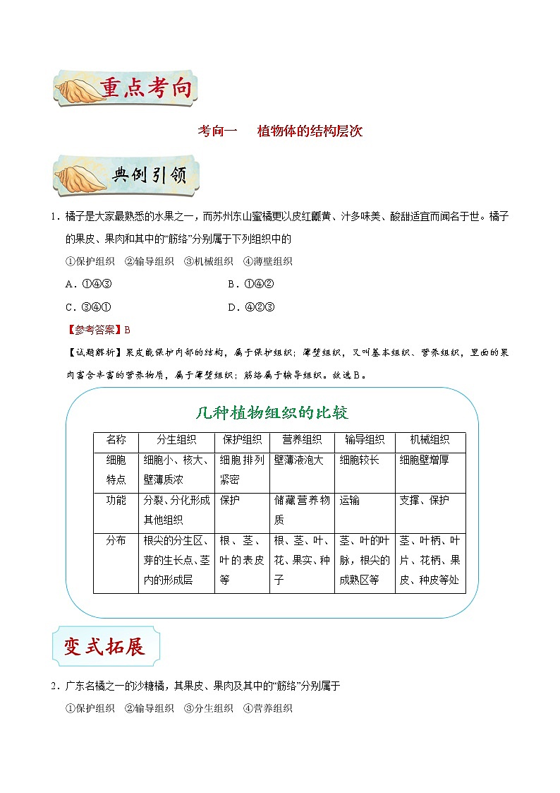 初中生物中考复习 考点08 动植物体的结构层次-备战2019年中考生物考点一遍过第3页