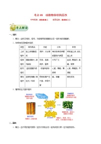 初中生物中考复习 考点08 动植物体的结构层次-备战2020年中考生物考点一遍过