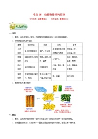 初中生物中考复习 考点08 动植物体的结构层次-备战2021年中考生物考点一遍过