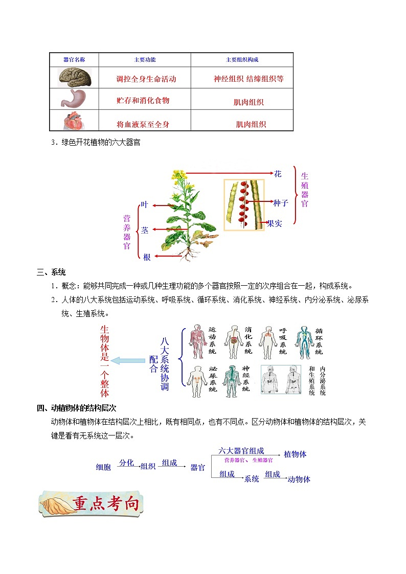 初中生物中考复习 考点08 动植物体的结构层次-备战2021年中考生物考点一遍过第2页