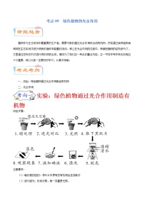 初中生物中考复习 考点09  绿色植物的光合作用（考点详解）-备战2021年中考生物考点微专题