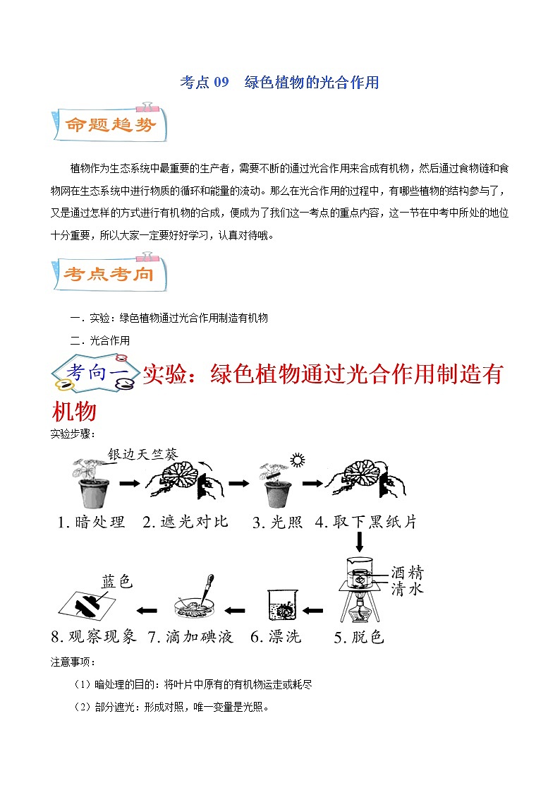 初中生物中考复习 考点09  绿色植物的光合作用（考点详解）-备战2021年中考生物考点微专题01