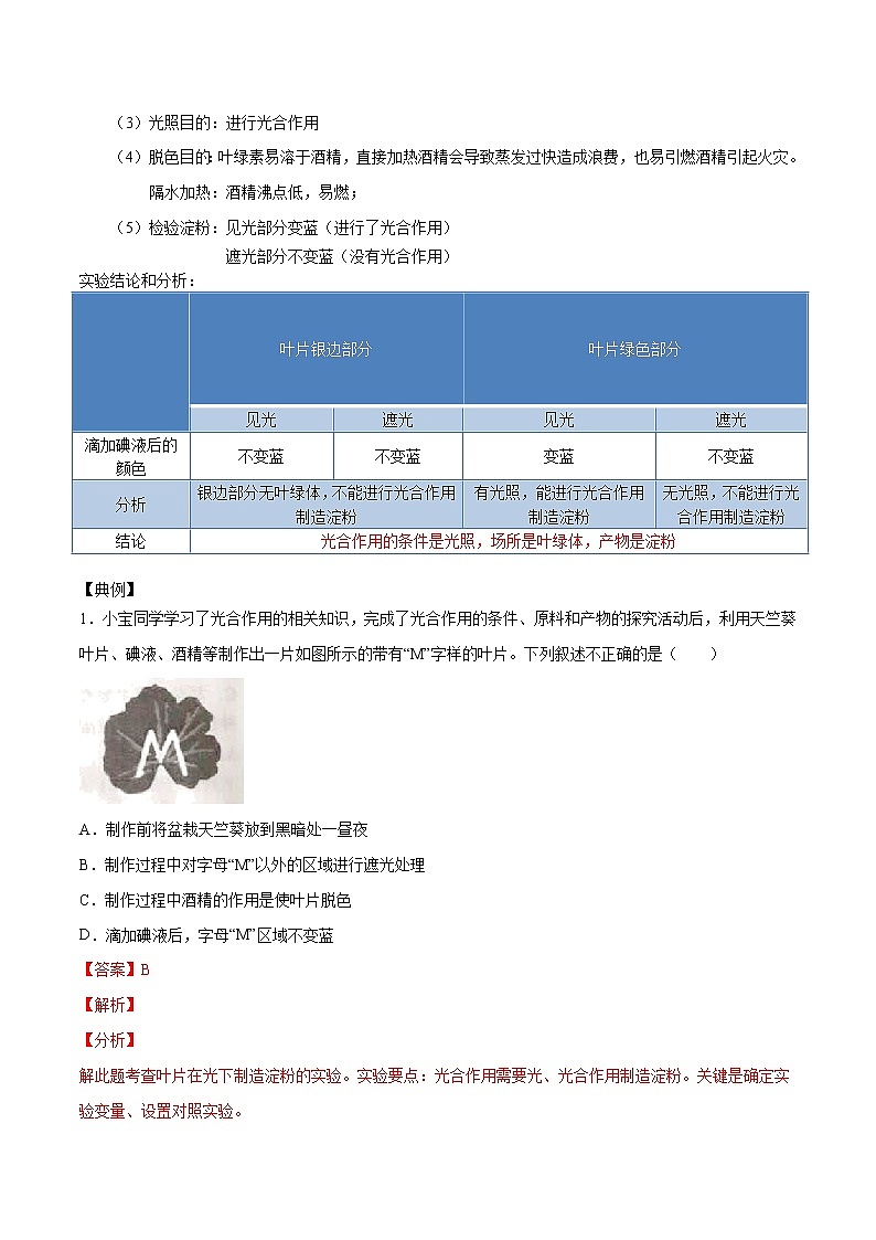 初中生物中考复习 考点09  绿色植物的光合作用（考点详解）-备战2021年中考生物考点微专题02