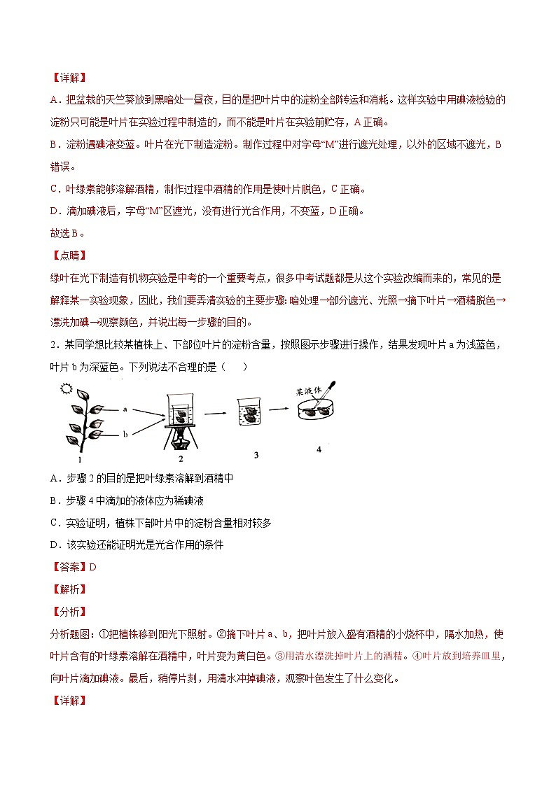 初中生物中考复习 考点09  绿色植物的光合作用（考点详解）-备战2021年中考生物考点微专题03