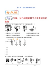 初中生物中考复习 考点09  绿色植物的光合作用（考点专练）-备战2021年中考生物考点微专题