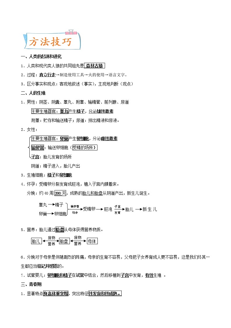 初中生物中考复习 考点10 人的由来-备战2022年中考生物一轮复习考点微专题02