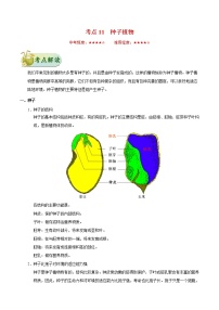 初中生物中考复习 考点11 种子植物-备战2019年中考生物考点一遍过