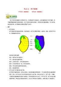 初中生物中考复习 考点11 种子植物-备战2021年中考生物考点一遍过