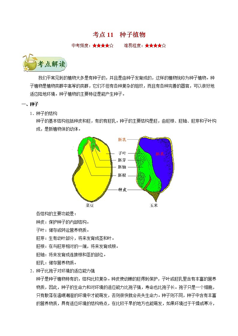 初中生物中考复习 考点11 种子植物-备战2021年中考生物考点一遍过 试卷01