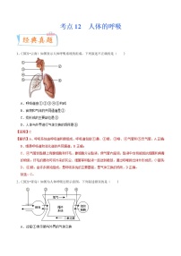 初中生物中考复习 考点12 人体的呼吸-备战2022年中考生物一轮复习考点微专题