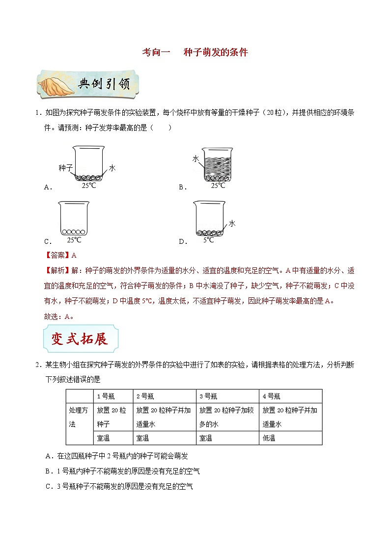 初中生物中考复习 考点12 种子的萌发-备战2021年中考生物考点一遍过第3页