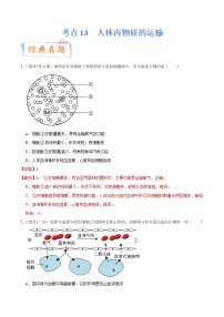 初中生物中考复习 考点13 人体内物质的运输-备战2022年中考生物一轮复习考点微专题