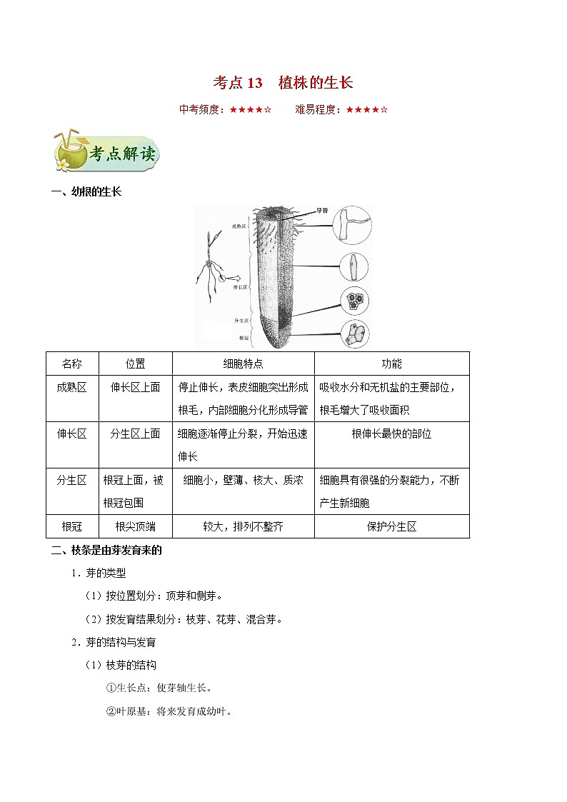 初中生物中考复习 考点13 植株的生长-备战2019年中考生物考点一遍过第1页