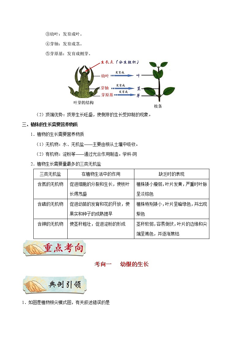 初中生物中考复习 考点13 植株的生长-备战2019年中考生物考点一遍过第2页