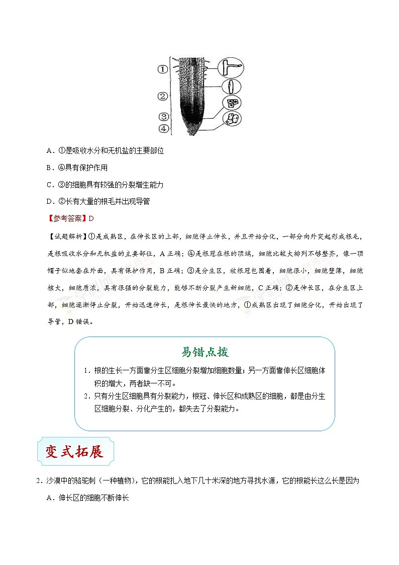 初中生物中考复习 考点13 植株的生长-备战2019年中考生物考点一遍过第3页