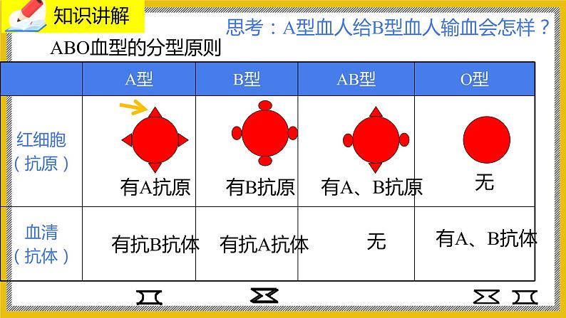 9.1.2《血液》课件PPT+教案+同步练习06