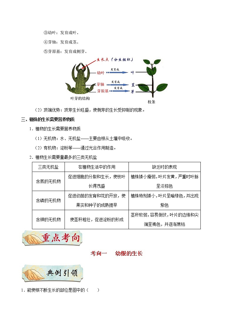 初中生物中考复习 考点13 植株的生长-备战2021年中考生物考点一遍过 试卷02