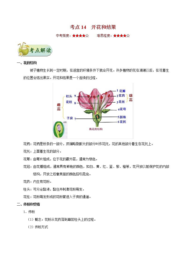 初中生物中考复习 考点14 开花和结果-备战2021年中考生物考点一遍过第1页