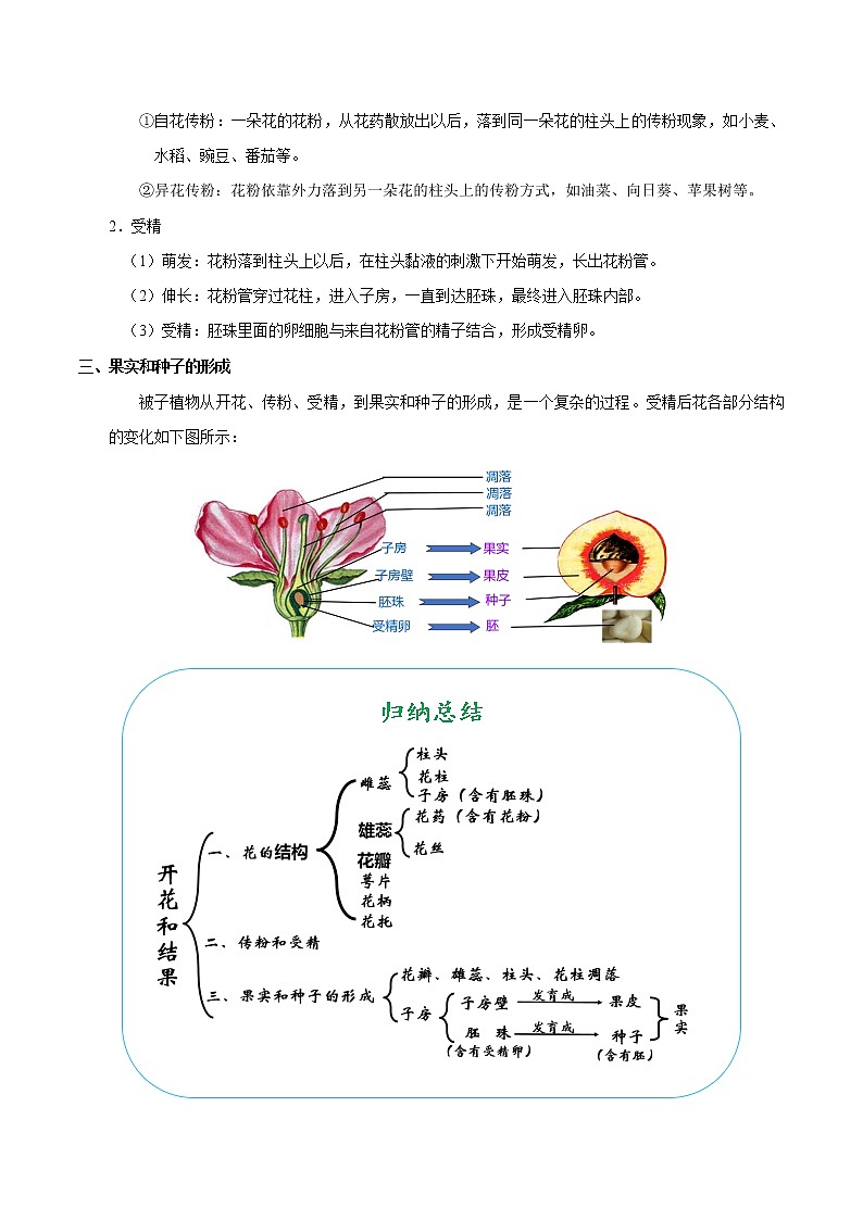 初中生物中考复习 考点14 开花和结果-备战2021年中考生物考点一遍过第2页