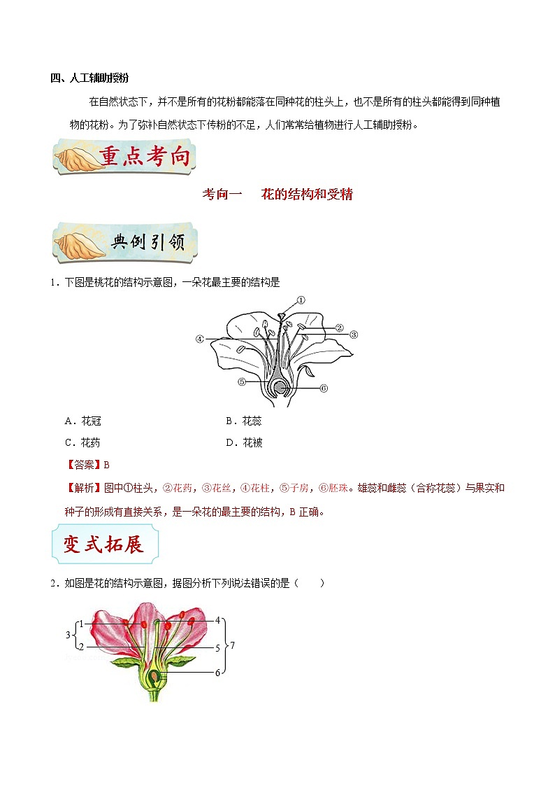 初中生物中考复习 考点14 开花和结果-备战2021年中考生物考点一遍过第3页