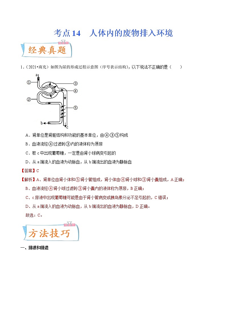 初中生物中考复习 考点14 人体内的废物排入环境-备战2022年中考生物一轮复习考点微专题第1页