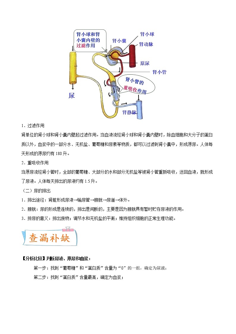 初中生物中考复习 考点14 人体内的废物排入环境-备战2022年中考生物一轮复习考点微专题第3页