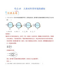 初中生物中考复习 考点15 人体对外界环境的感知-备战2022年中考生物一轮复习考点微专题