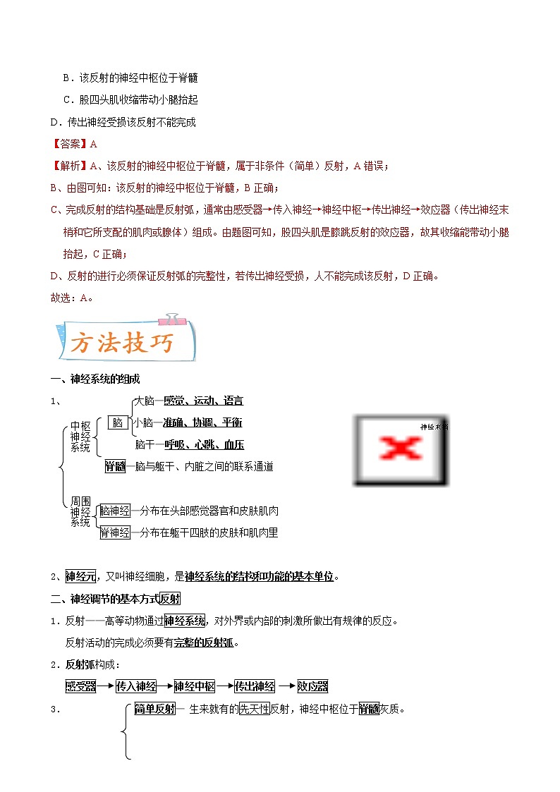 初中生物中考复习 考点16 神经调节-备战2022年中考生物一轮复习考点微专题第2页