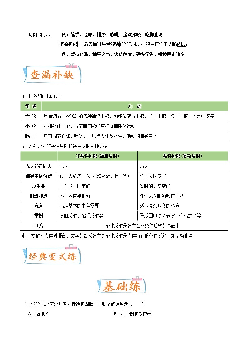 初中生物中考复习 考点16 神经调节-备战2022年中考生物一轮复习考点微专题第3页
