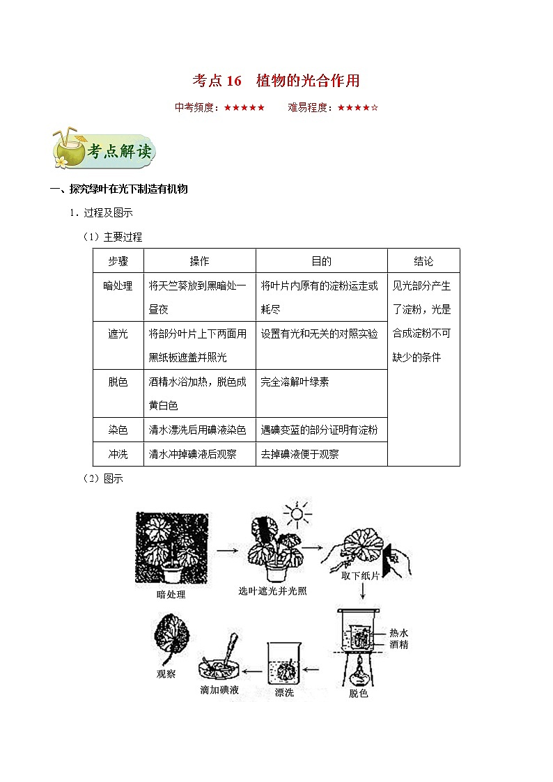 初中生物中考复习 考点16 植物的光合作用-备战2019年中考生物考点一遍过 试卷01