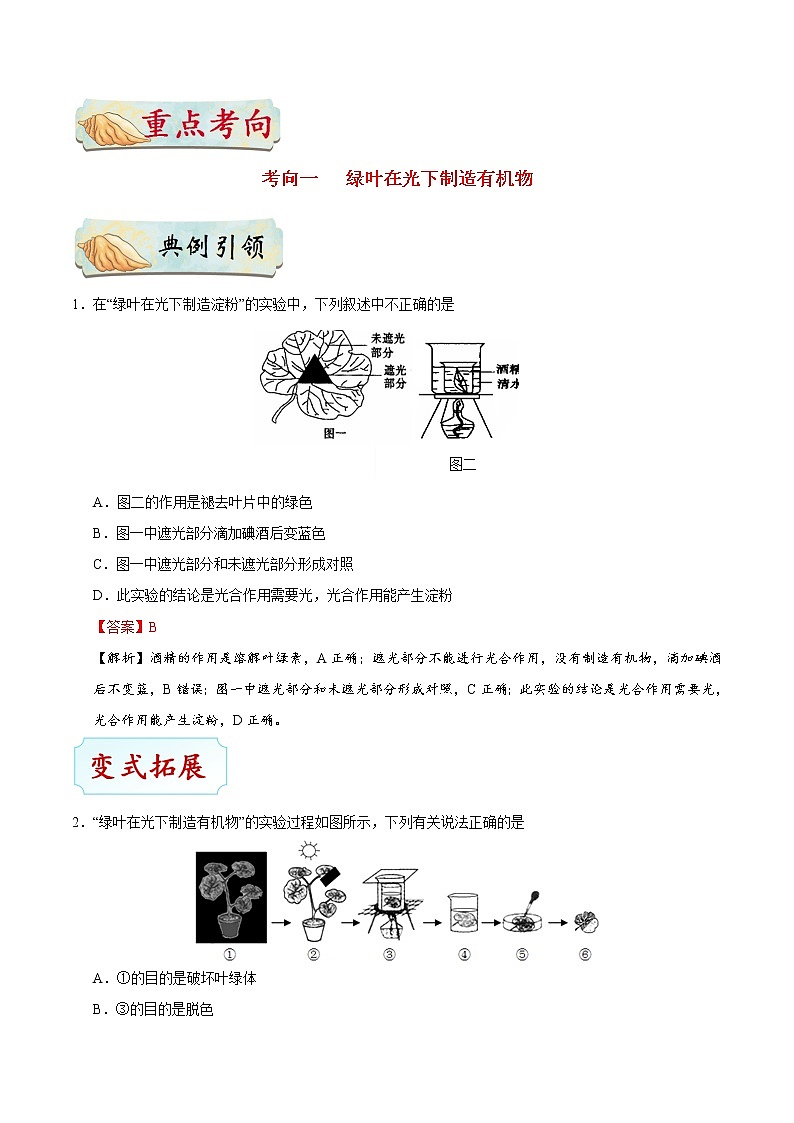 初中生物中考复习 考点16 植物的光合作用-备战2019年中考生物考点一遍过 试卷03