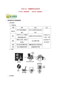 初中生物中考复习 考点16 植物的光合作用-备战2021年中考生物考点一遍过