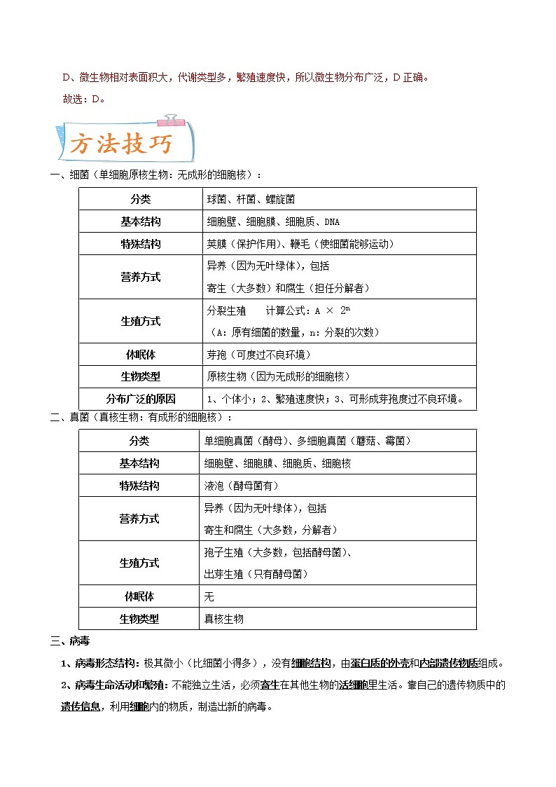 初中生物中考复习 考点19 细菌、真菌与病毒-备战2022年中考生物一轮复习考点微专题02