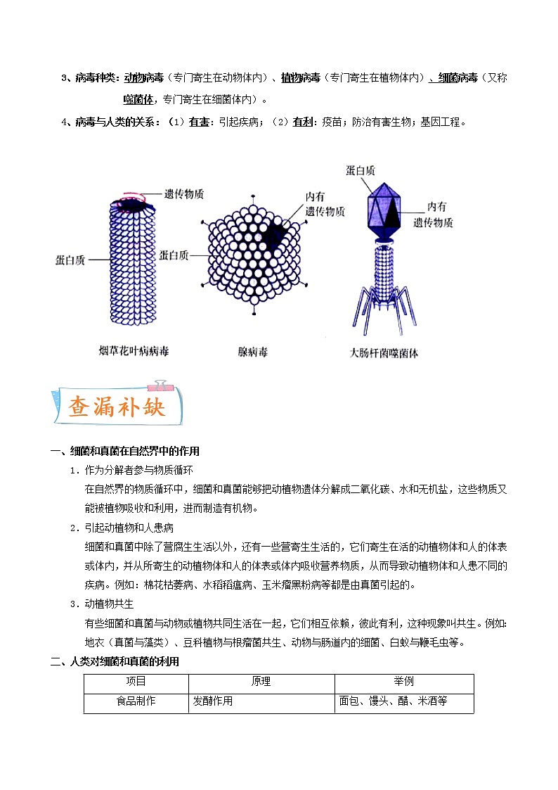 初中生物中考复习 考点19 细菌、真菌与病毒-备战2022年中考生物一轮复习考点微专题03