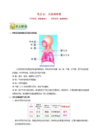 初中生物中考复习 考点21 人体的呼吸-备战2021年中考生物考点一遍过