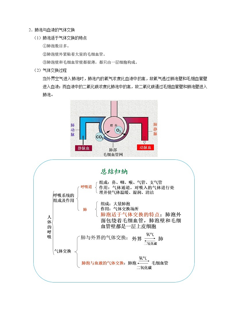 初中生物中考复习 考点21 人体的呼吸-备战2021年中考生物考点一遍过第2页