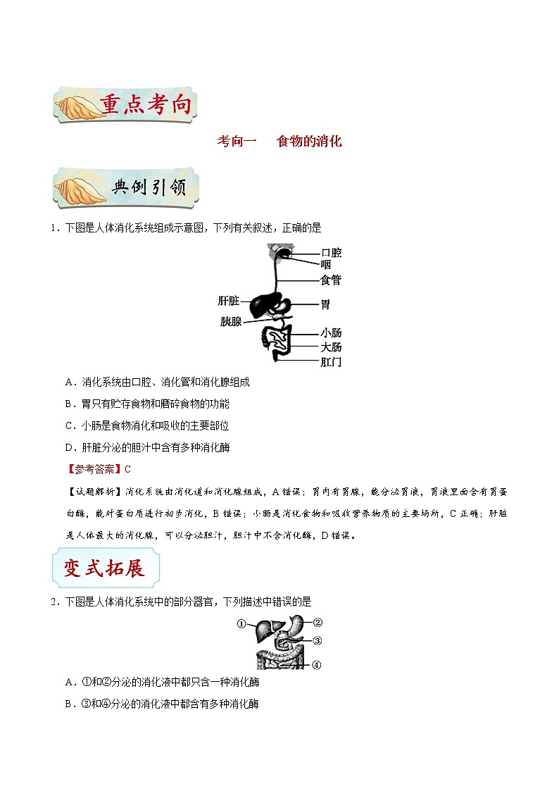 初中生物中考复习 考点21 消化和吸收-备战2019年中考生物考点一遍过第3页